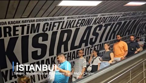 Haytap Farkındalık Çalışmaları İstanbul Metrolarında - Haziran 2024