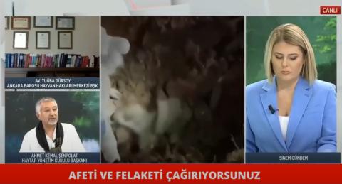 Afeti ve felaketi çağırıyorsunuz