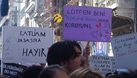 Haytap'ın tetiklediği 30 Eylül 2012 Türkiye'nin en büyük hayvan hakları yürüyüşü