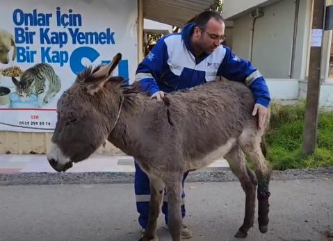 Haytap Osmaniye Emekli Hayvanlar Çiftliği