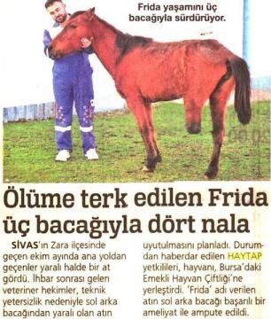 'Frida' Bir Haytap Kurtarma Öyküsü